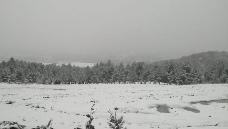 Bolu’da okullar tatil oldu