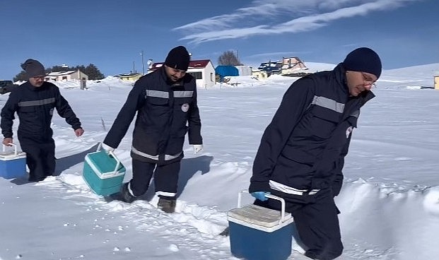 Ardahan’da karlı yollarda aşılamalar sürüyor