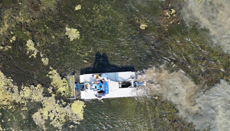 Başkan Doğan’dan Körfez’deki müsilaj sorununa çözüm