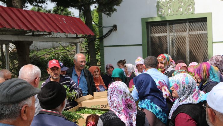 Başkan Türkel’den tarımsal üretime tam destek!